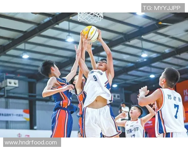 武汉全明星篮球训练营开启青少年篮球梦想之旅助力未来明星球员成长
