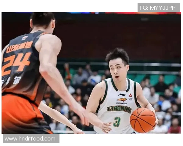 辽宁篮球明星的辉煌历程与成就解析及其对中国篮球的影响